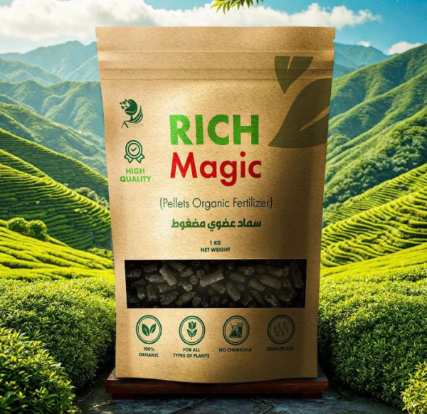Rich Magic
